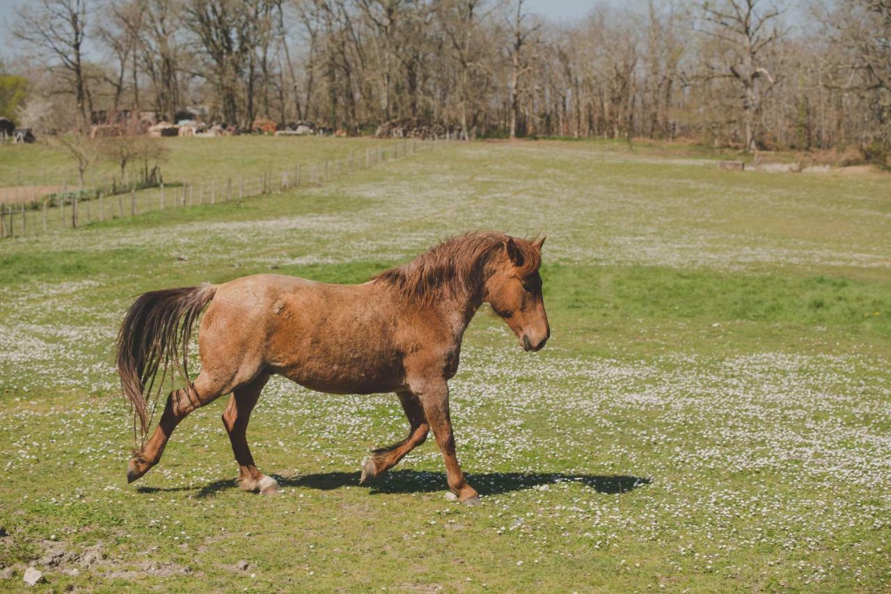 La Ferme De Bousserand Pontours Exteriör bild